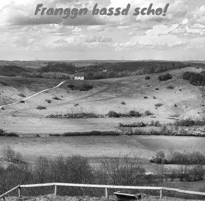 'Cover von Franggn bassd scho!'-Cover