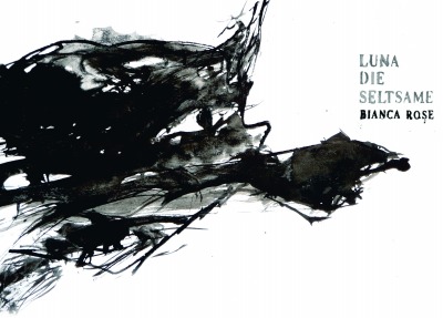 'Cover von Luna die Seltsame'-Cover