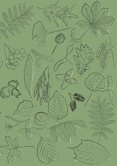 'Cover von Notizheft Leaves & Fruit'-Cover