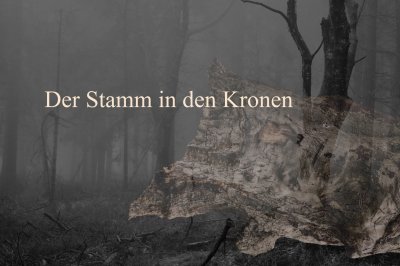 'Cover von Der Stamm in den Kronen'-Cover