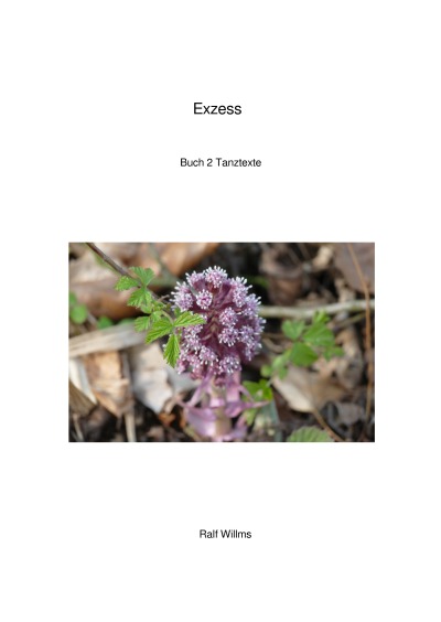 'Cover von Exzess'-Cover