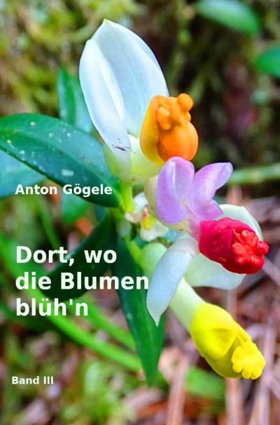 'Cover von Dort, wo die Blumen blüh’n Band III'-Cover
