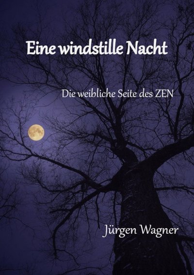 'Cover von Eine windstille Nacht'-Cover