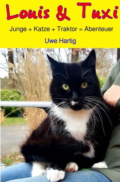 'Cover von Louis & Tuxi'-Cover