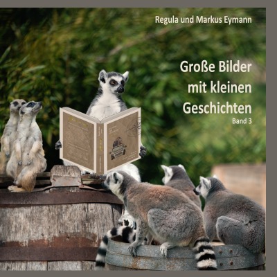 'Cover von Grosse Bilder – mit kleinen Geschichten – Band 3'-Cover