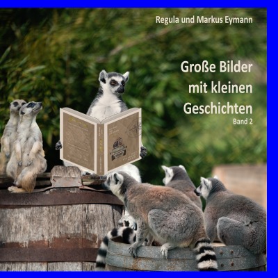 'Cover von Grosse Bilder – mit kleinen Geschichten – Band 2'-Cover