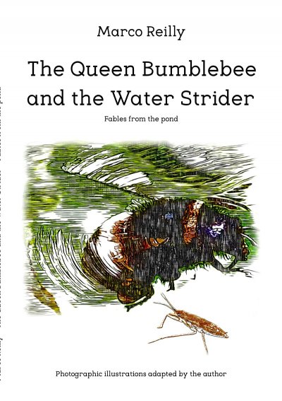 'Cover von The Queen Bumblebee and the Water Strider'-Cover