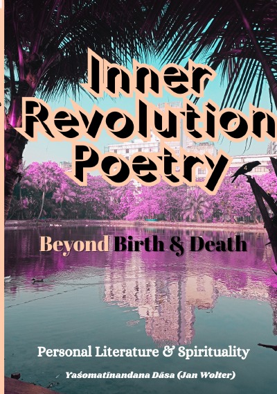 'Cover von Inner Revolution 4'-Cover