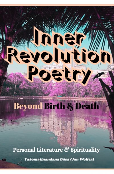 'Cover von Inner Revolution 4'-Cover