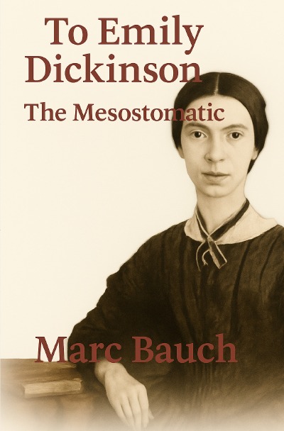 'Cover von To Emily Dickinson and The Mesostomatic'-Cover