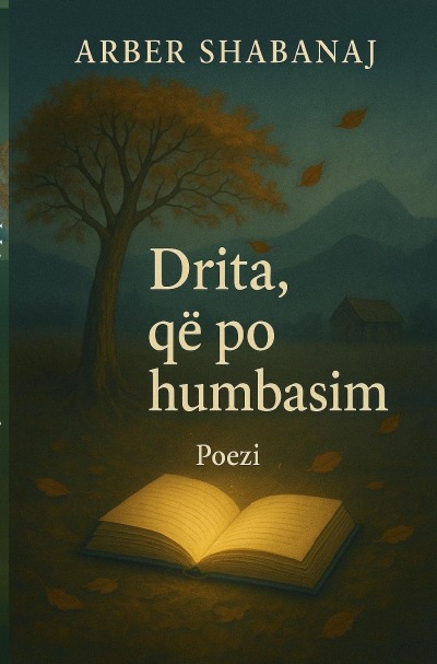 'Cover von Drita, që po humbasim'-Cover
