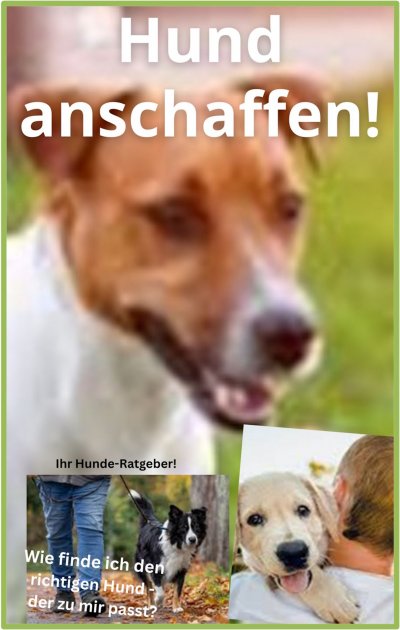 'Cover von Hund anschaffen!'-Cover