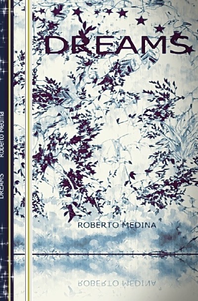 'Cover von DREAMS'-Cover