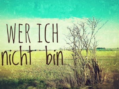 'Cover von Wer ich nicht bin'-Cover