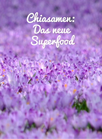 'Cover von Chiasamen, das neue Superfood.'-Cover