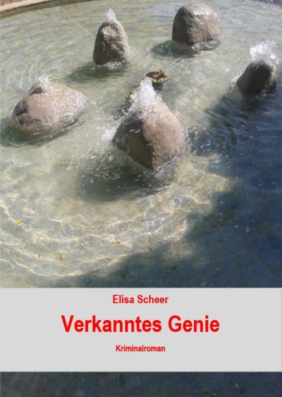 'Cover von Verkanntes Genie'-Cover