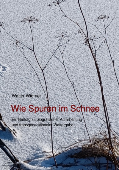 'Cover von Wie Spuren im Schnee'-Cover