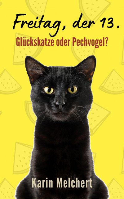 'Cover von Freitag, der 13.'-Cover