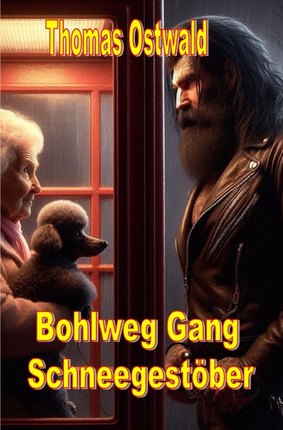 'Cover von Bohlweg Gang – Schneegestöber'-Cover