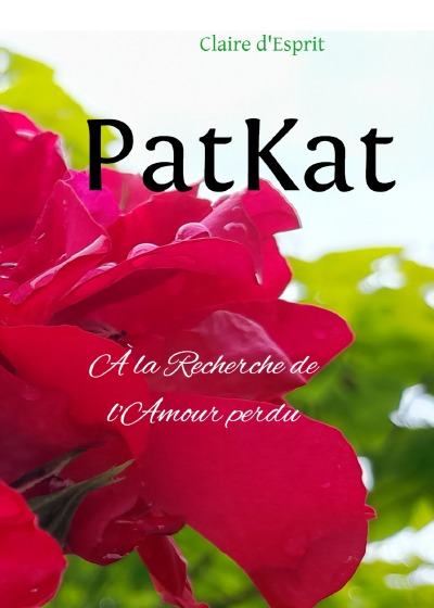 'Cover von PatKat'-Cover