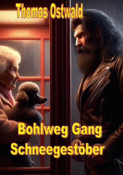 'Cover von Bohlweg Gang – Schneegestöber'-Cover