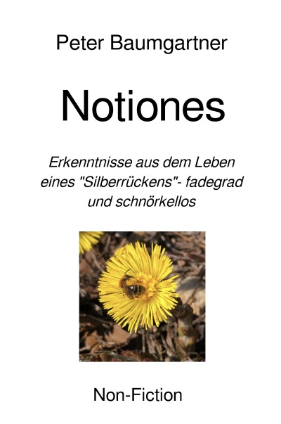 'Cover von Notiones'-Cover
