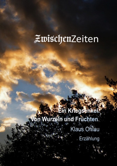 'Cover von ZwischenZeiten'-Cover