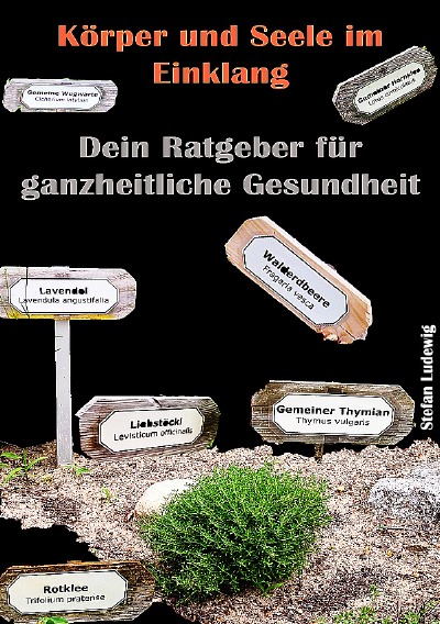 'Cover von Körper und Seele im Einklang I Dein Ratgeber für ganzheitliche Gesundheit'-Cover