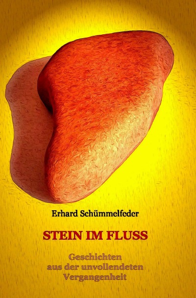 'Cover von Stein im Fluss'-Cover