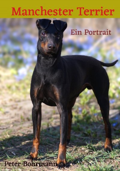 'Cover von Manchester Terrier'-Cover