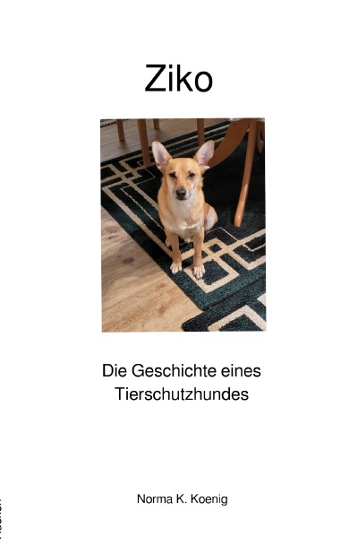 'Cover von Ziko'-Cover