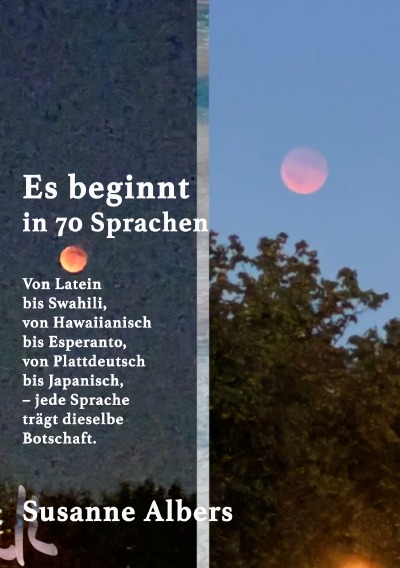 'Cover von Es beginnt'-Cover