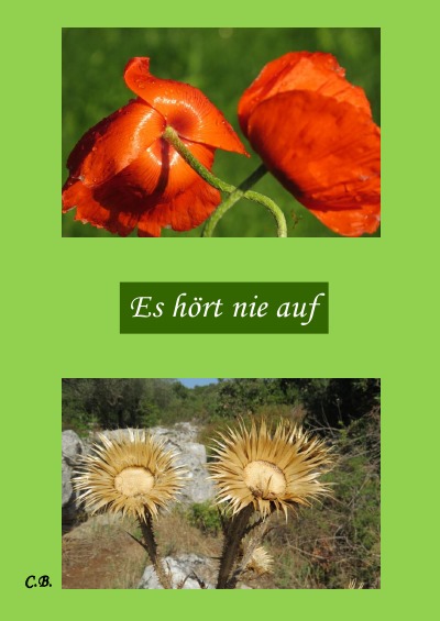 'Cover von Es hört nie auf'-Cover