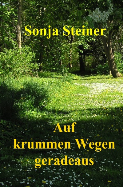 'Cover von Auf krummen Wegen geradeaus'-Cover