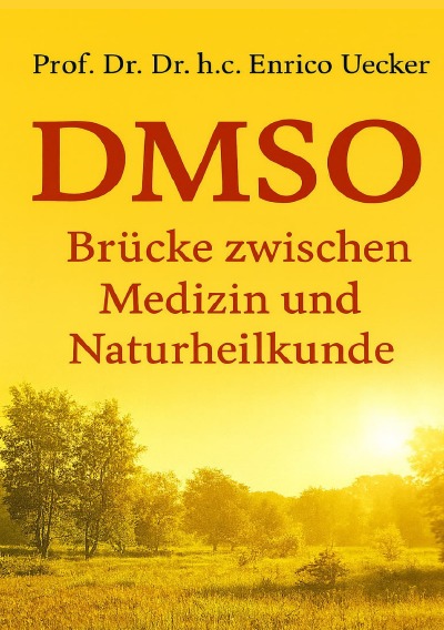 'Cover von DMSO – Brücke zwischen Schulmedizin und Naturheilkunde'-Cover