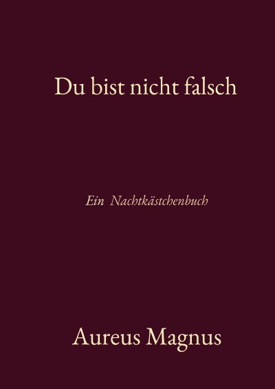 'Cover von Du bist nicht falsch'-Cover