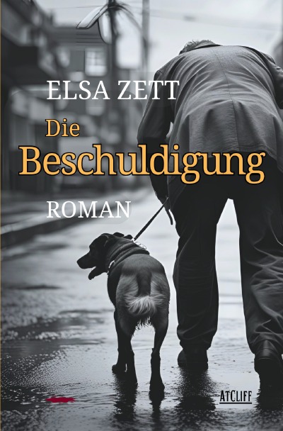 'Cover von Die Beschuldigung'-Cover
