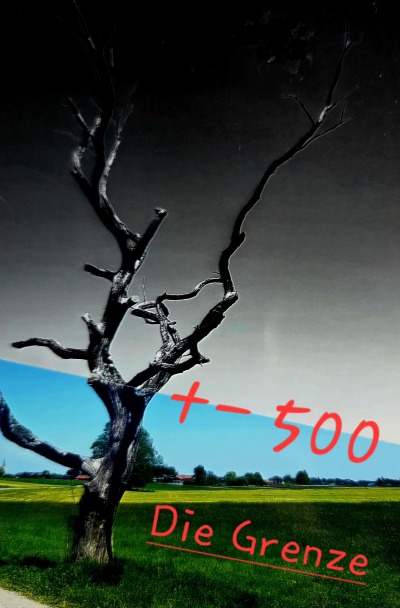 'Cover von 500'-Cover