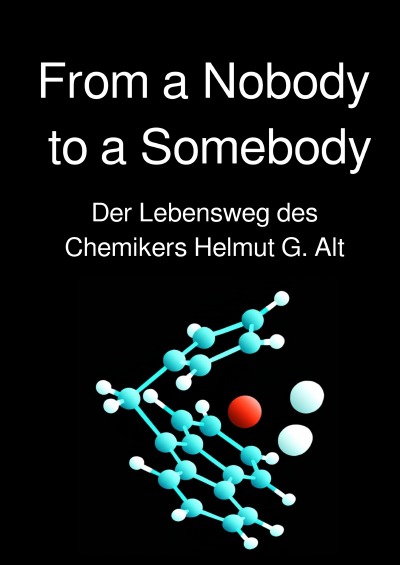 'Cover von From a Nobody to a Somebody'-Cover