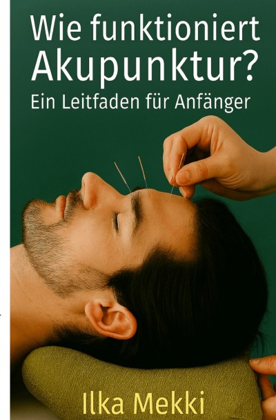 'Cover von Wie funktioniert Akupunktur?'-Cover