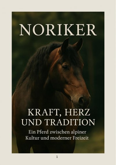 'Cover von Noriker – Herz, Kraft und Tradition'-Cover