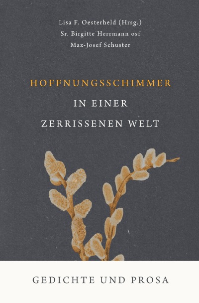 'Cover von Hoffnungsschimmer in einer zerrissenen Welt'-Cover