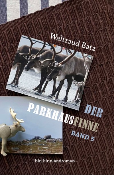 'Cover von Der Parkhausfinne Band 5'-Cover