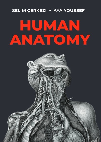 'Cover von Human Anatomy'-Cover