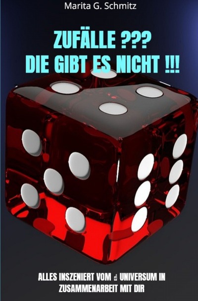 'Cover von Zufälle ??? Die gibt es nicht !!!'-Cover