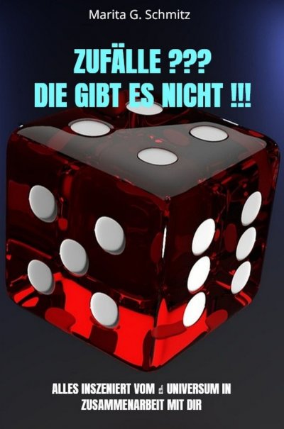 'Cover von Zufälle ??? Die gibt es nicht !!!'-Cover