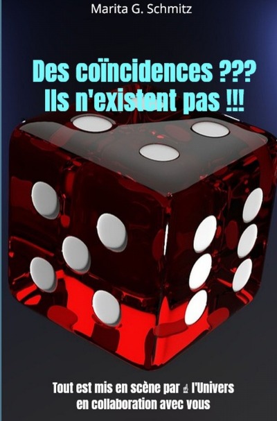 'Cover von Des coïncidences ??? Ils n’existent pas !!!'-Cover