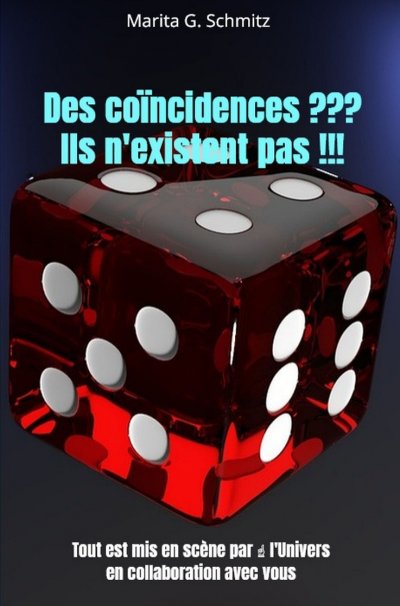 'Cover von Des coïncidences ??? Ils n’existent pas !!!'-Cover