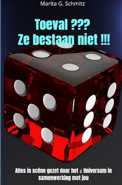 'Cover von Toeval ??? Ze bestaan niet !!!'-Cover