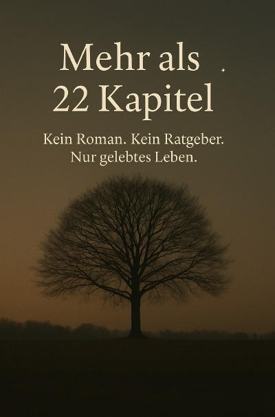 'Cover von Mehr als 22 Kapitel'-Cover